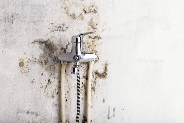 Trusted Ashland, OR Mold Removal Experts