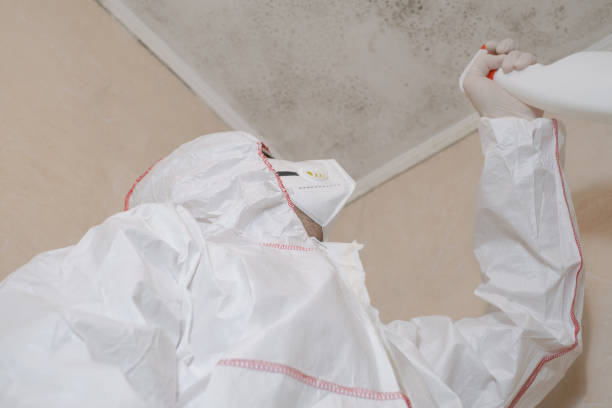 Best Mold Cleaning Services  in Ashland, OR