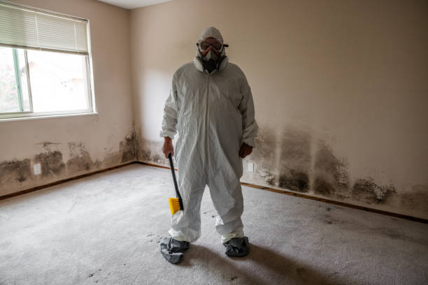 Best Mold Damage Repair  in Ashland, OR