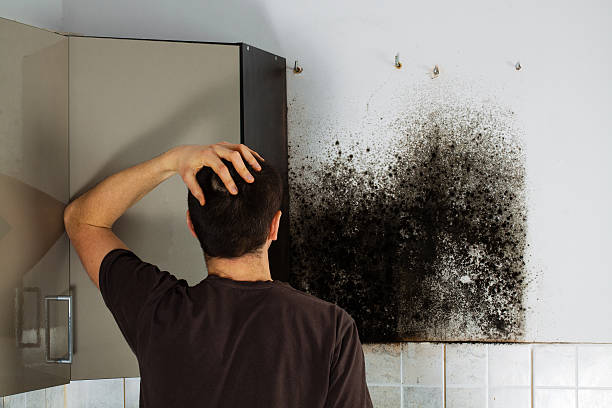 Best Emergency Mold Removal  in Ashland, OR