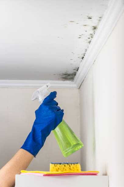 Best Mold Testing  in Ashland, OR